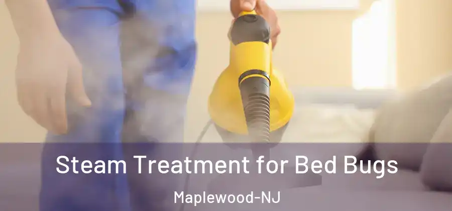 Steam Treatment for Bed Bugs Maplewood-NJ