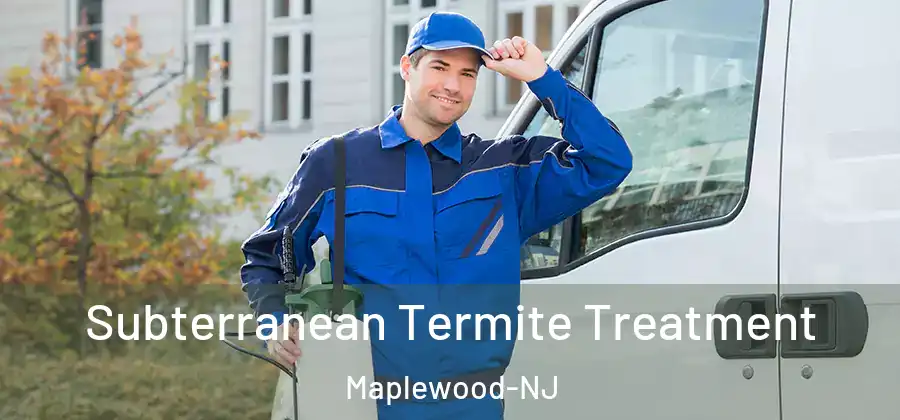 Subterranean Termite Treatment Maplewood-NJ