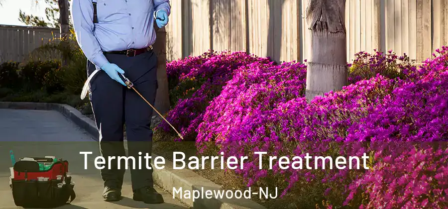 Termite Barrier Treatment Maplewood-NJ
