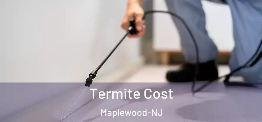 Termite Cost Maplewood-NJ
