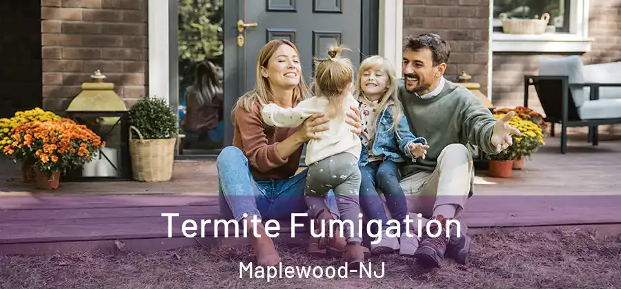 Termite Fumigation Maplewood-NJ