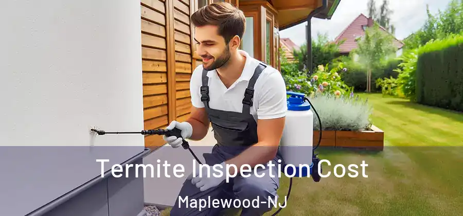 Termite Inspection Cost Maplewood-NJ