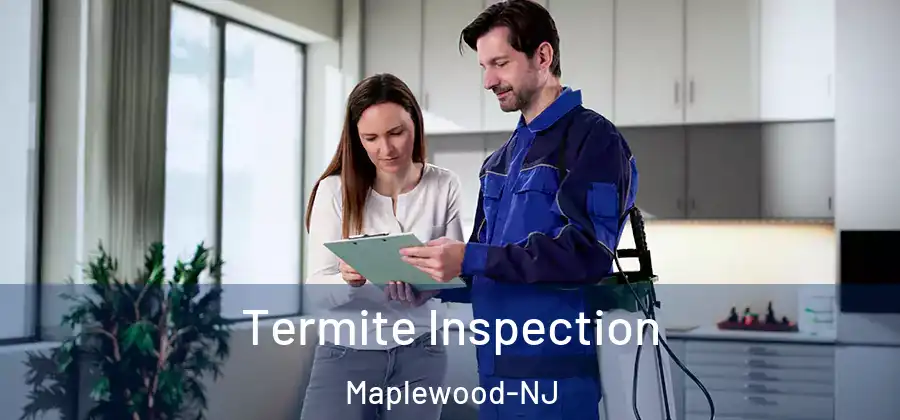 Termite Inspection Maplewood-NJ