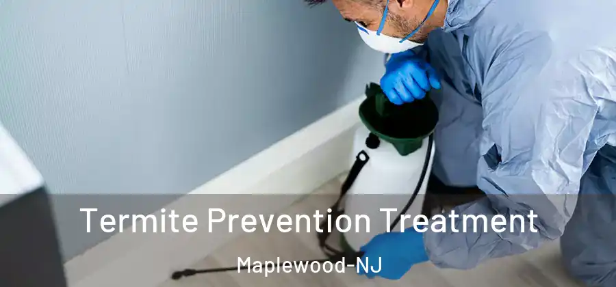Termite Prevention Treatment Maplewood-NJ