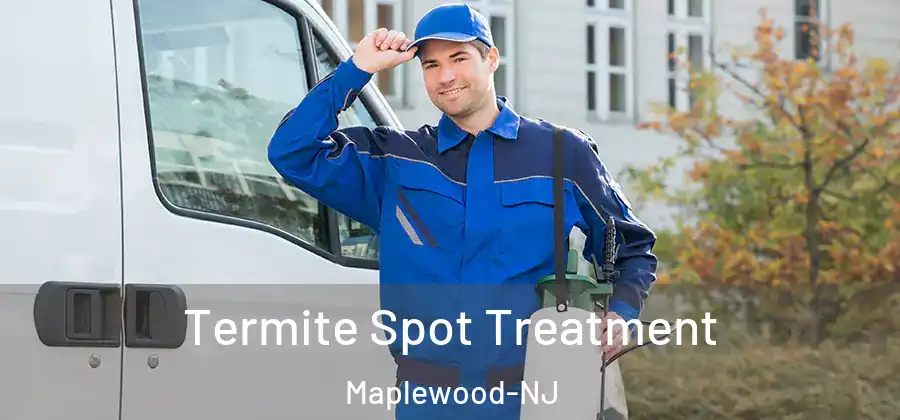 Termite Spot Treatment Maplewood-NJ