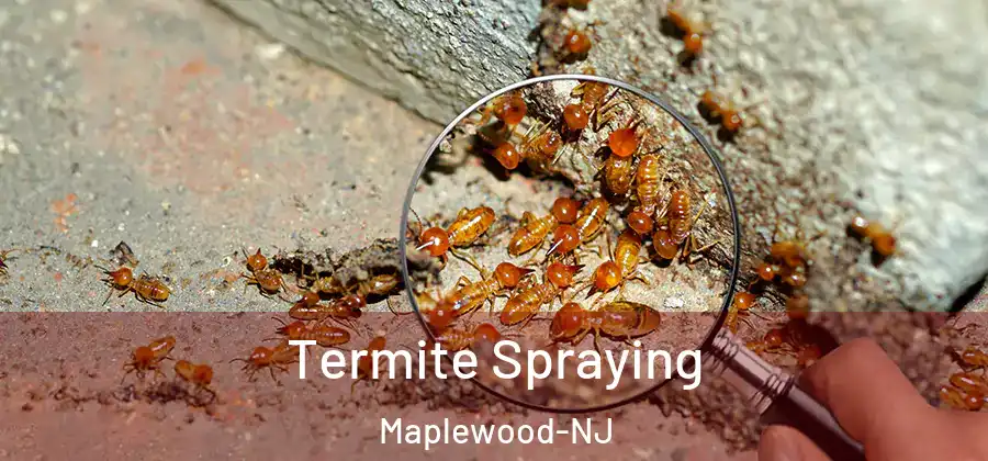 Termite Spraying Maplewood-NJ