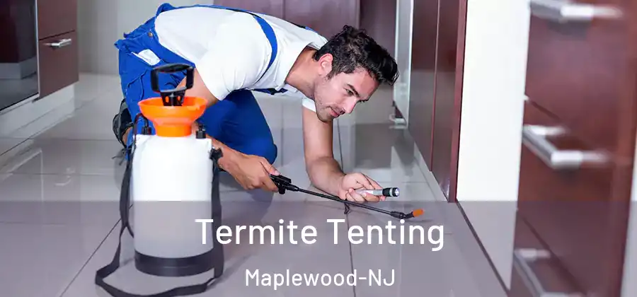 Termite Tenting Maplewood-NJ