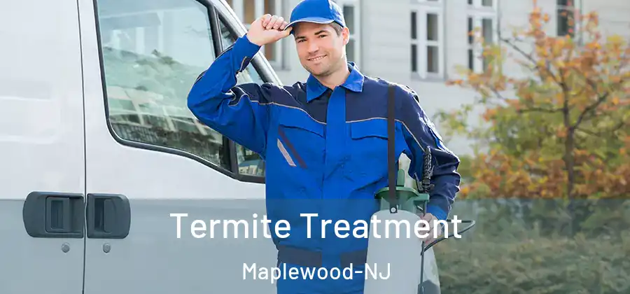 Termite Treatment Maplewood-NJ