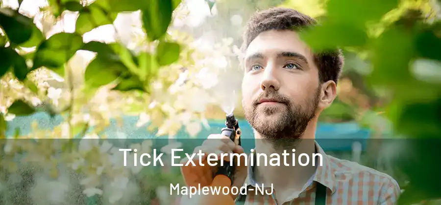  Tick Extermination Maplewood-NJ