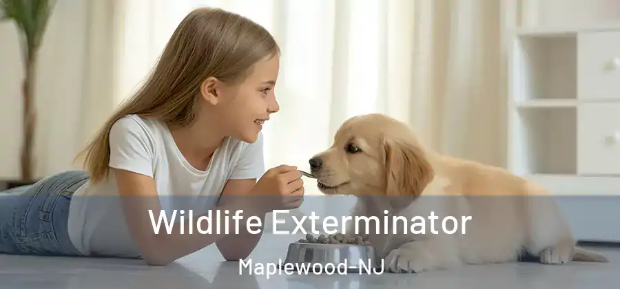 Wildlife Exterminator Maplewood-NJ