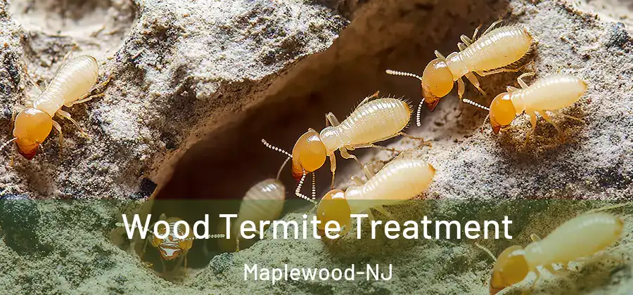  Wood Termite Treatment Maplewood-NJ